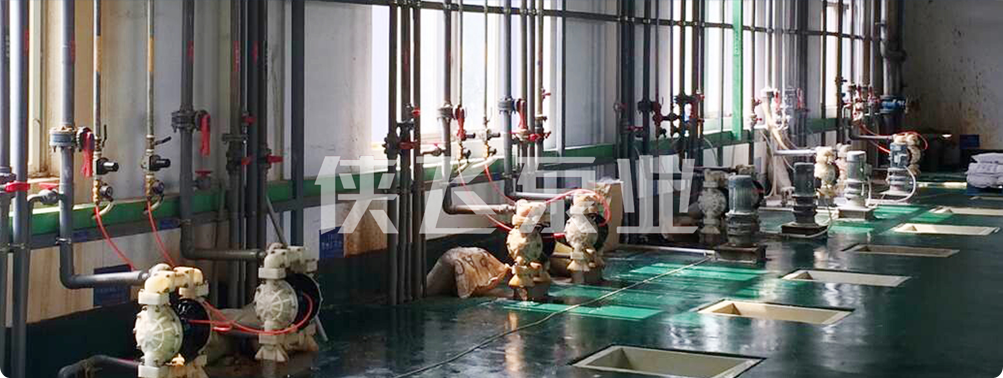 俠飛電動(dòng)隔膜泵,進(jìn)口隔膜泵廠(chǎng)家